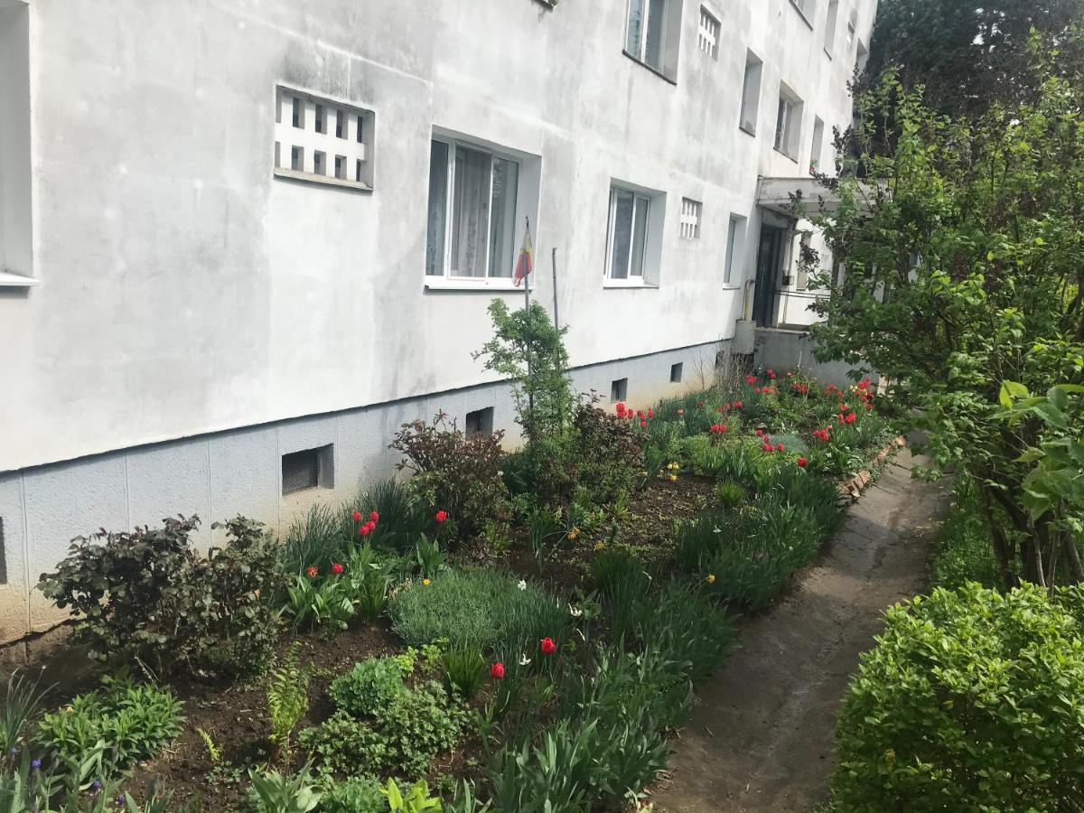 Apartament Colina คลูจ-นาโปกา ภายนอก รูปภาพ